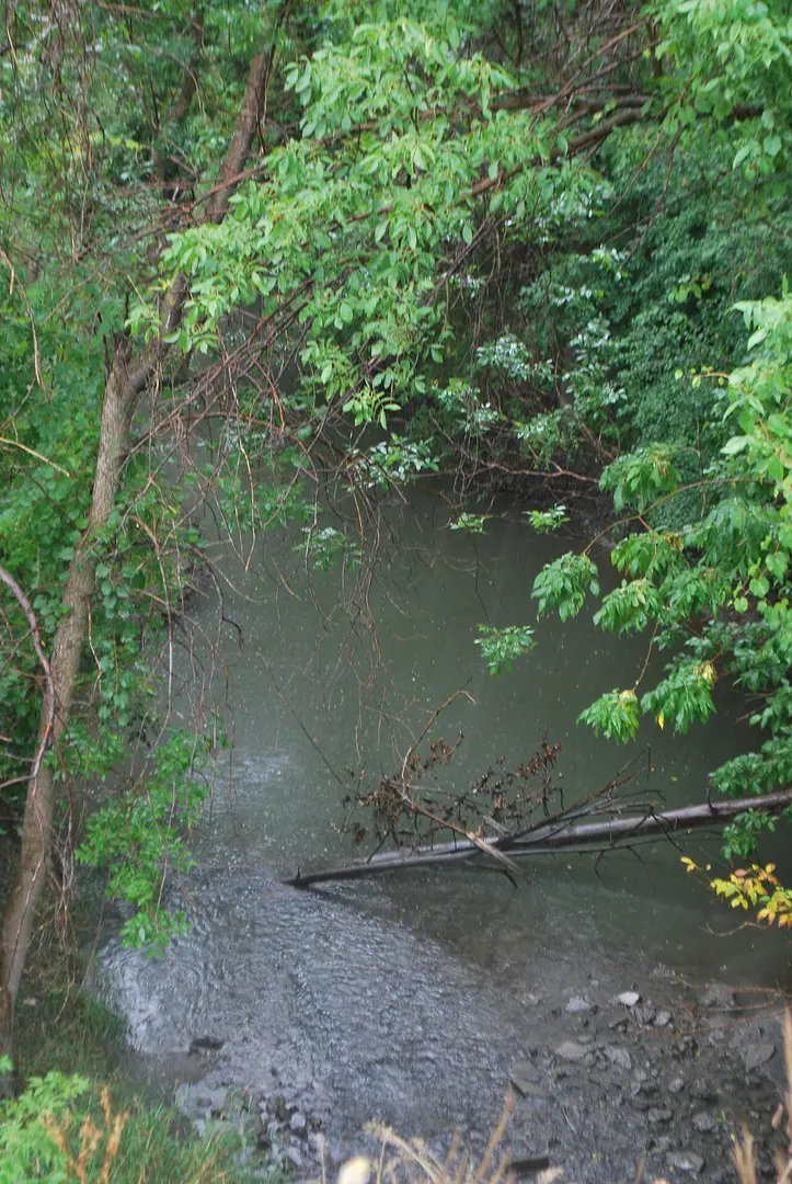 Parc-nature du Ruisseau-De-Montigny