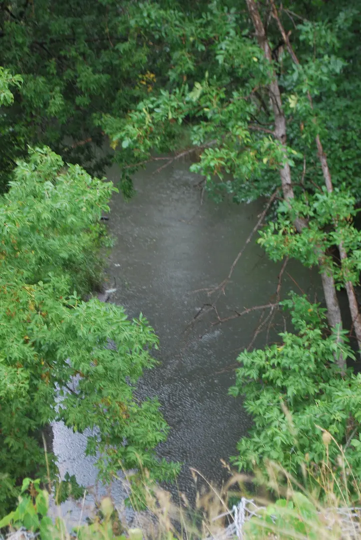 Parc-nature du Ruisseau-De-Montigny