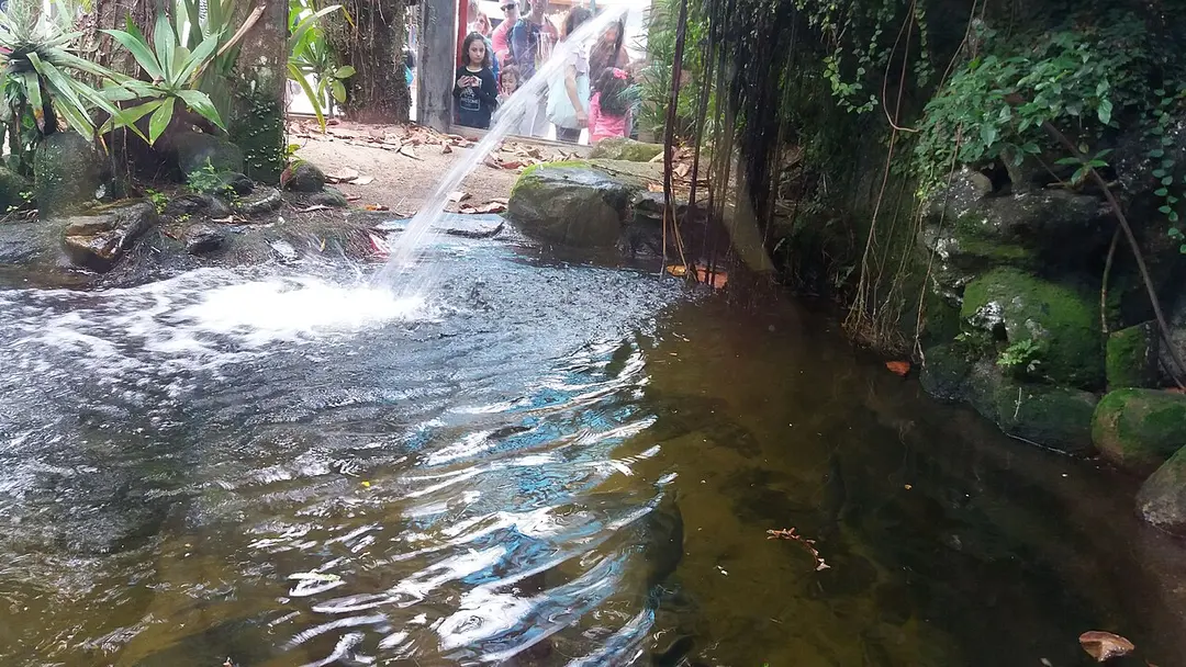 Aquário de Ubatuba