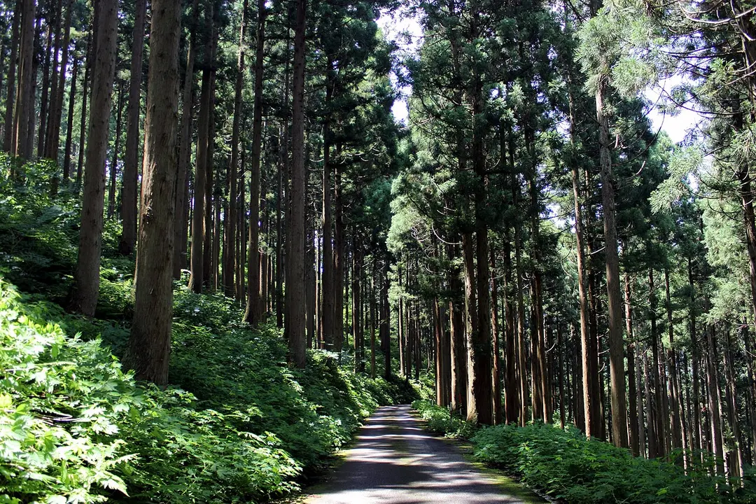 Japan National Route 416