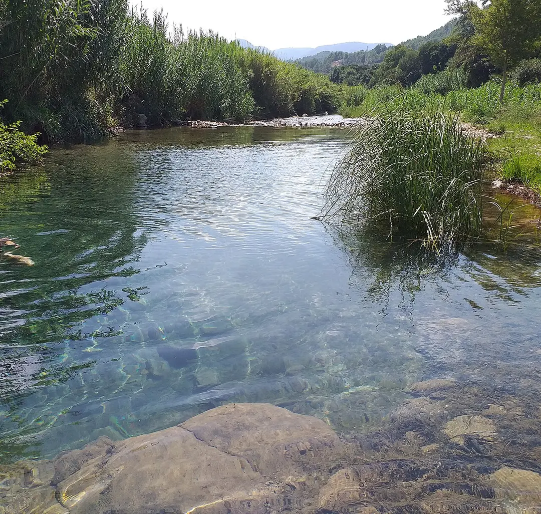 Villahermosa River