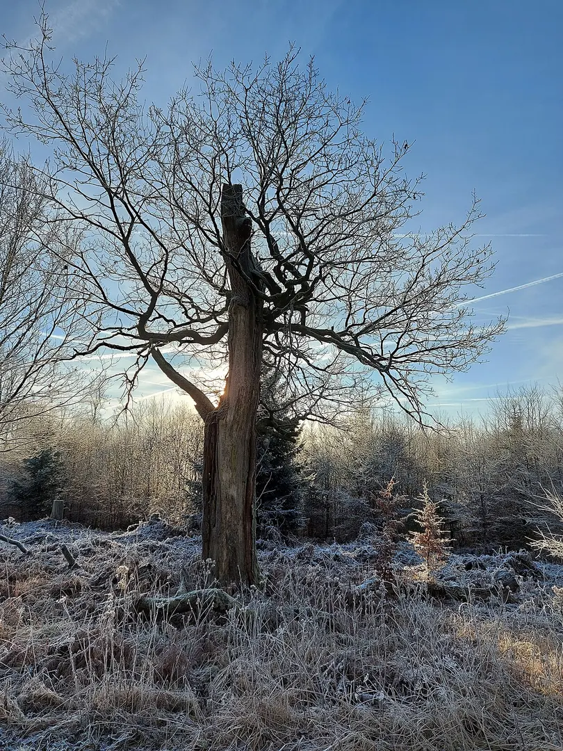 Wildpark Neuhaus