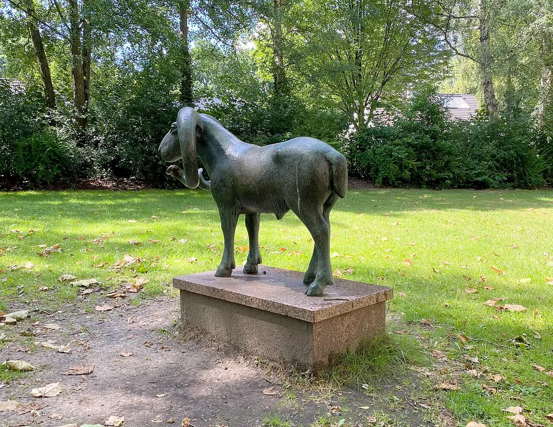 Wildschaf