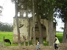 Bosa