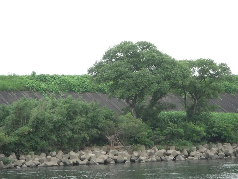 Toyo River