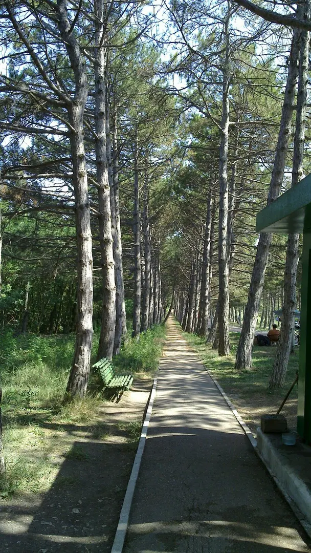 Gedenkstätte Sapun-Berg