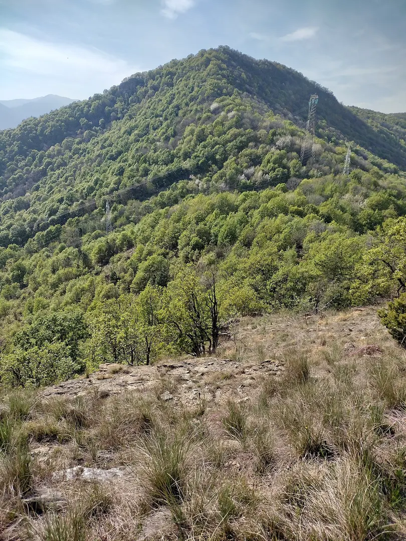 Montagnazza