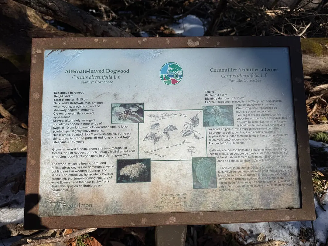 Odell Park