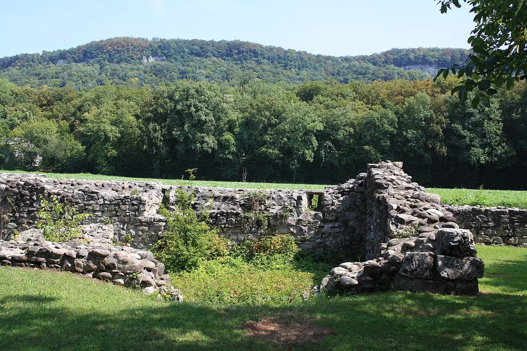 Burgruine Freudenau