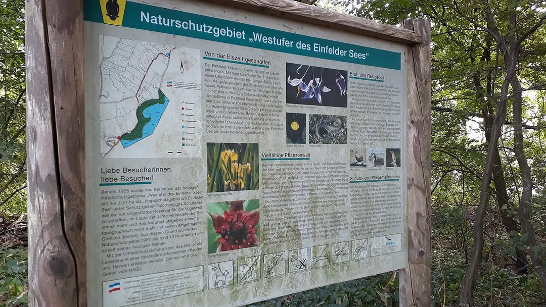 Westufer des Einfelder Sees