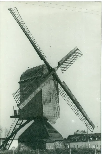 Nieuw Leven