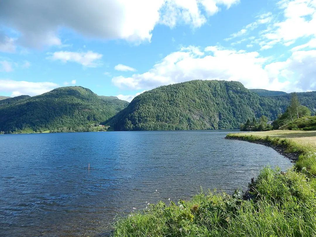 Movatnet