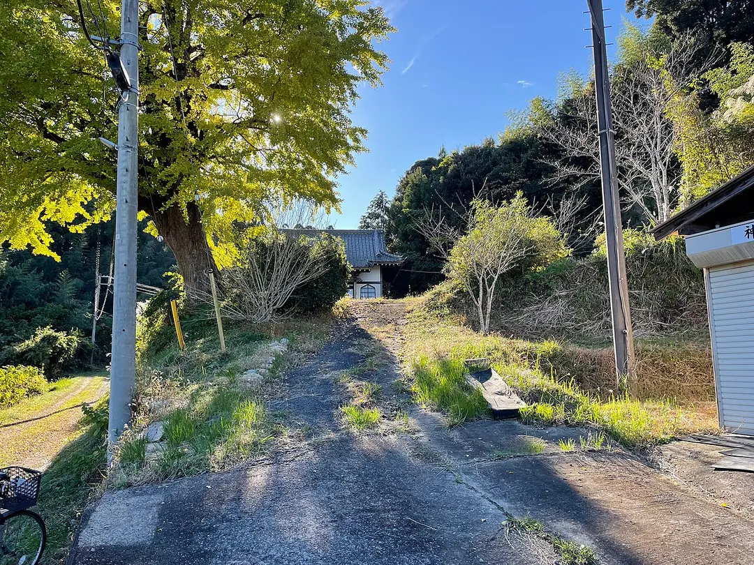 妙照寺