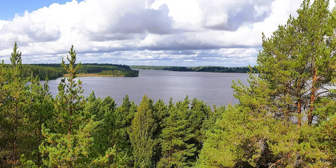 Arnöhuvud
