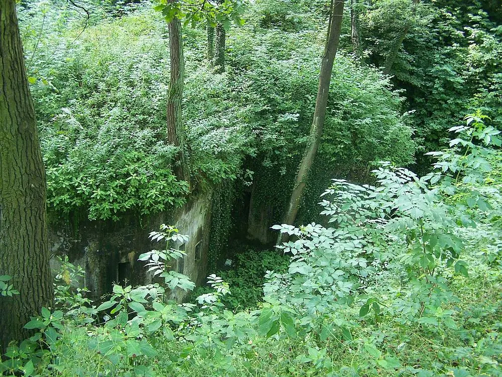 Fort 51 "Rajsko"