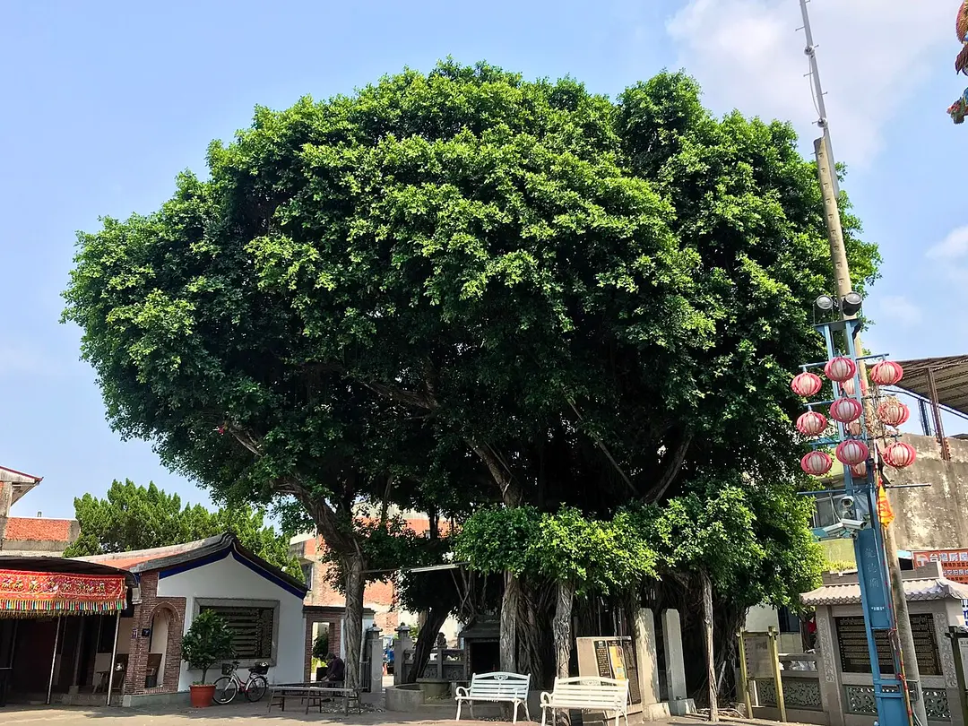 龍德廟