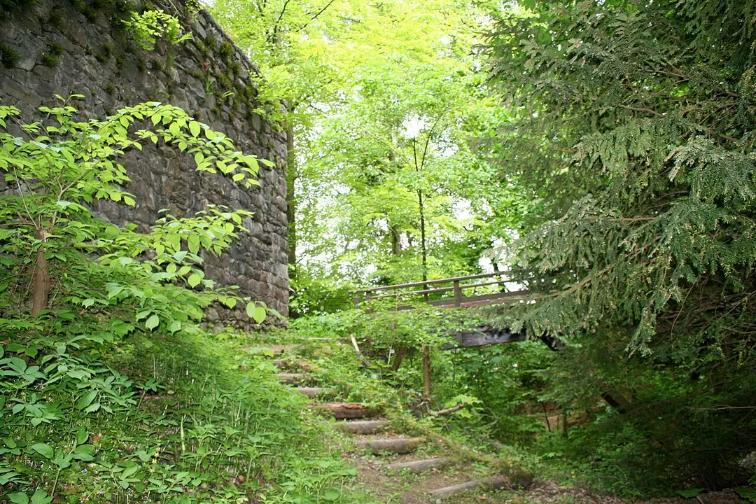 Ruine Dübelstein