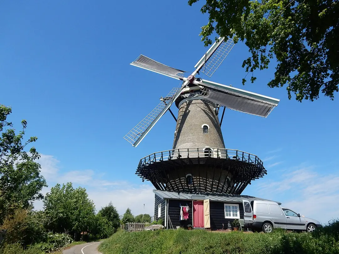 De Korenbloem
