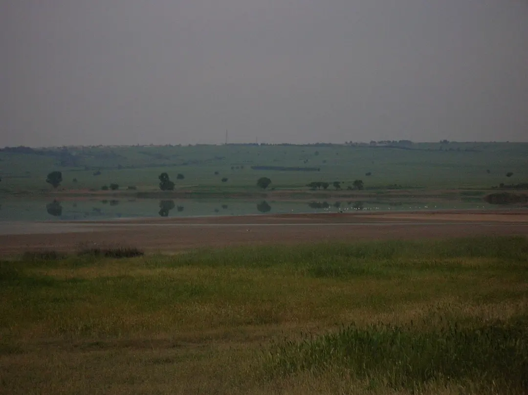 Pikrolimnisee