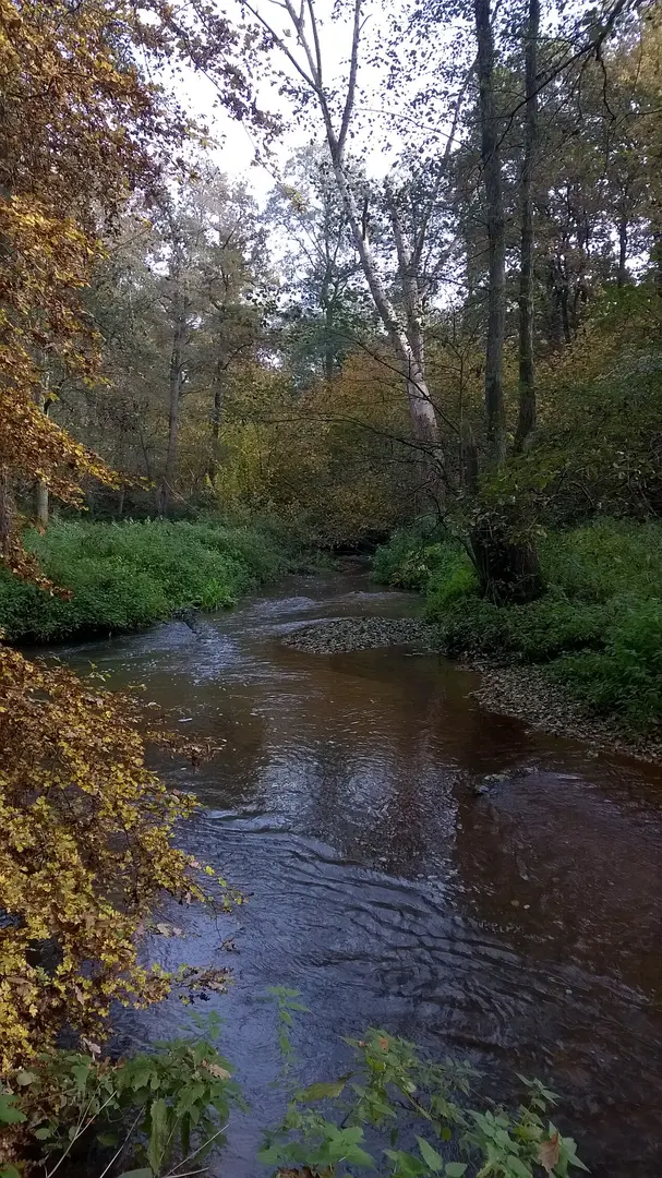 Nierskanal