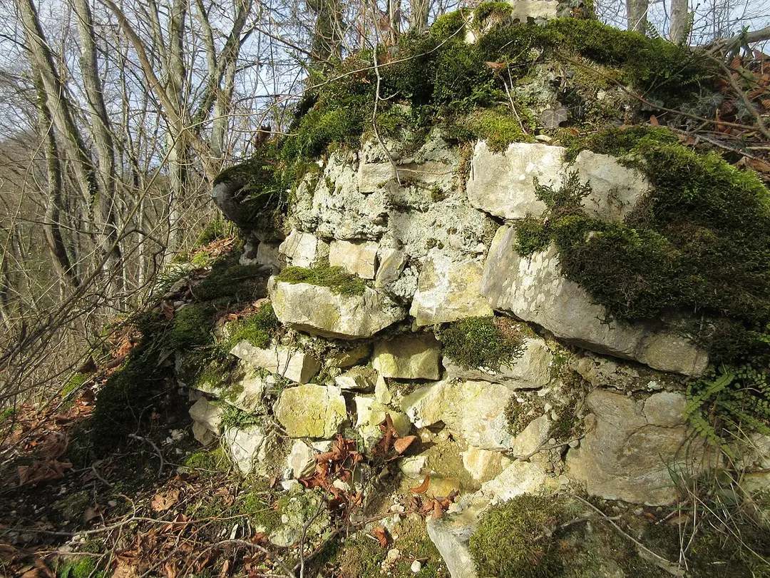Ruine Spitzburg