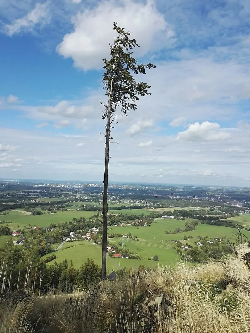 Ahornberg