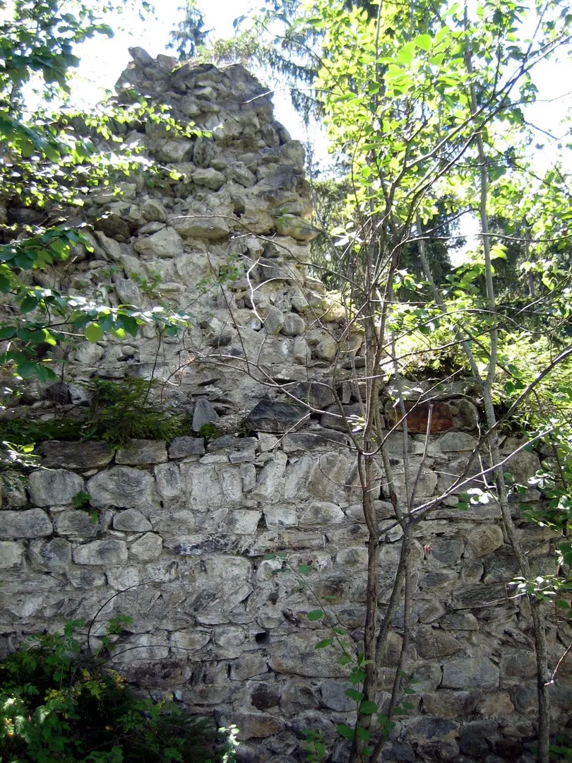 Burg Schwarzenstein