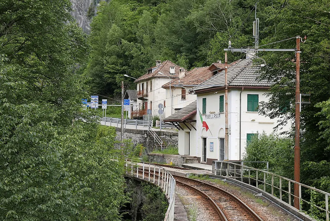 Ribellasca