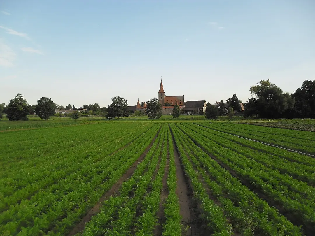 St. Georg