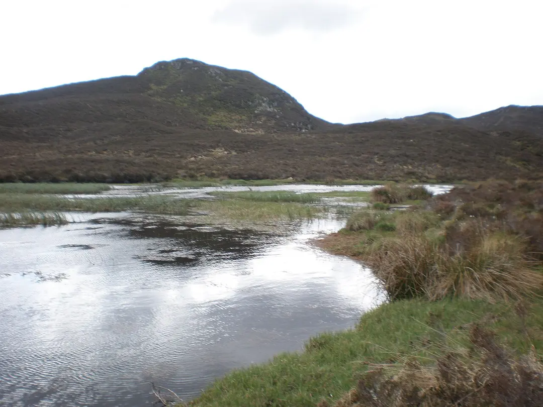 Loch Neaty