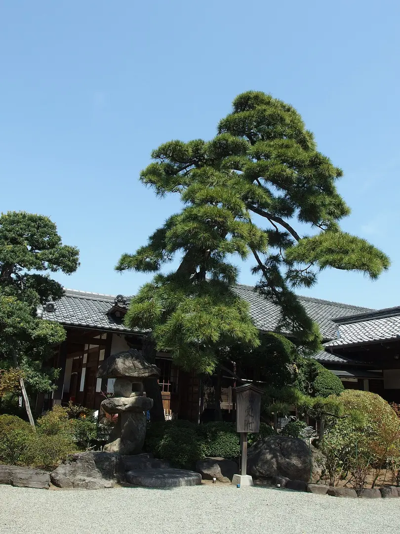 豪徳寺