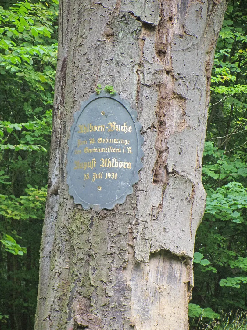 Hainberg
