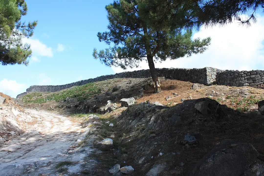 Castro de Sabrosa