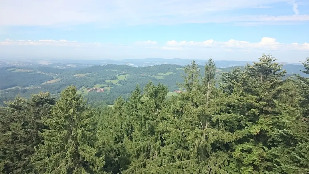 WaldWipfelWeg
