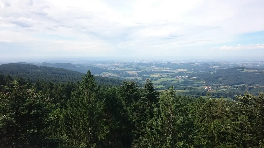 WaldWipfelWeg