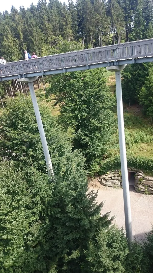 WaldWipfelWeg
