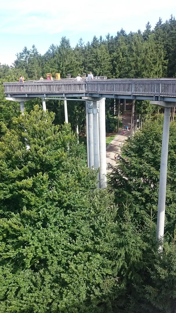 WaldWipfelWeg