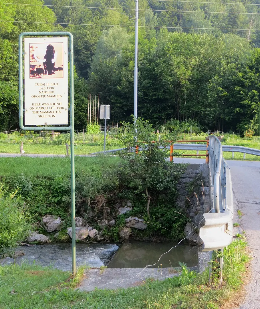 Nevljica