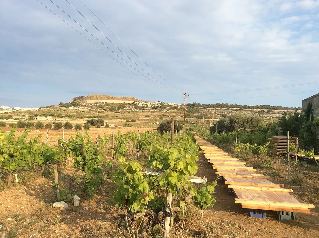 Fort Mosta