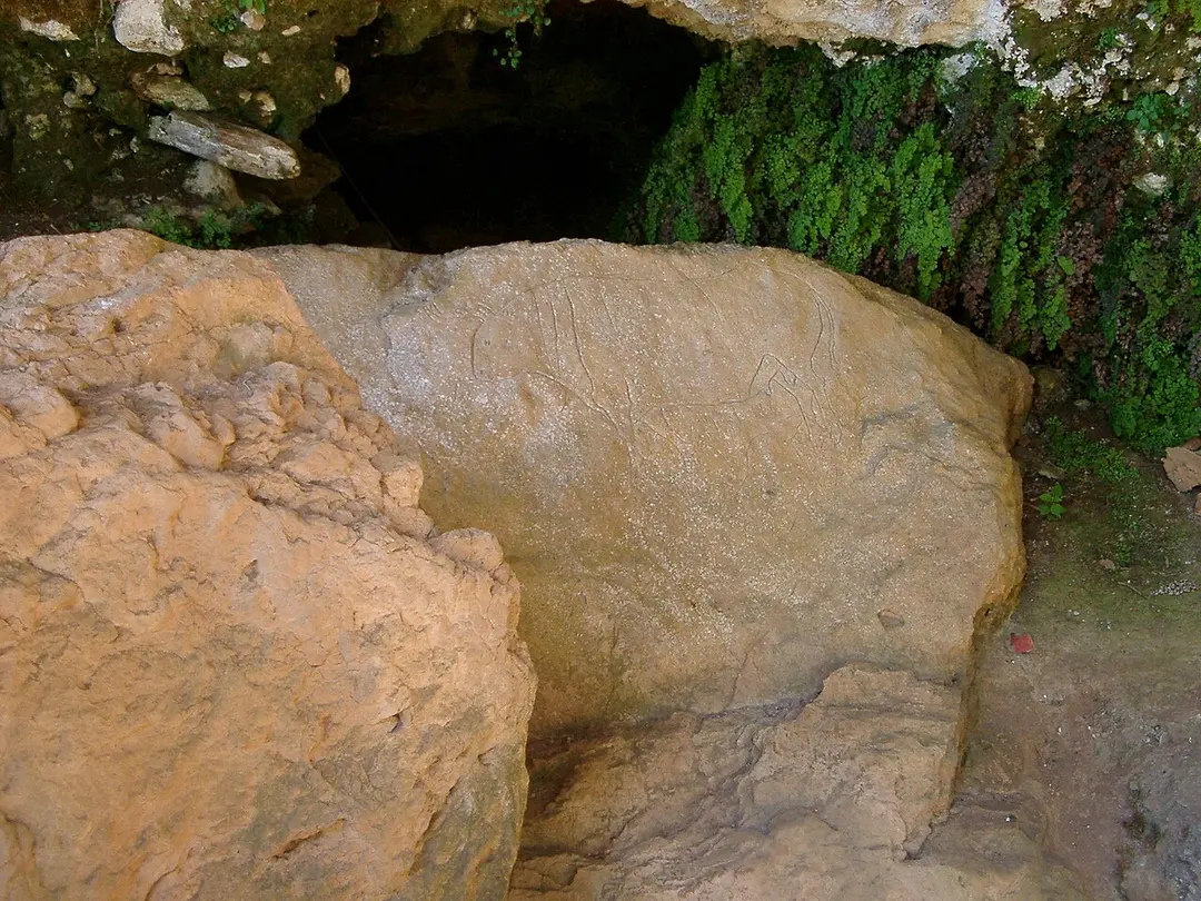 Grotta del Romito