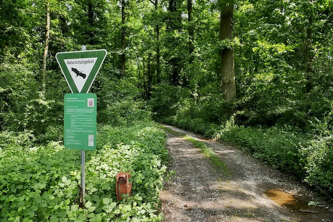 Dehrner Auwald und Dehrner Teiche