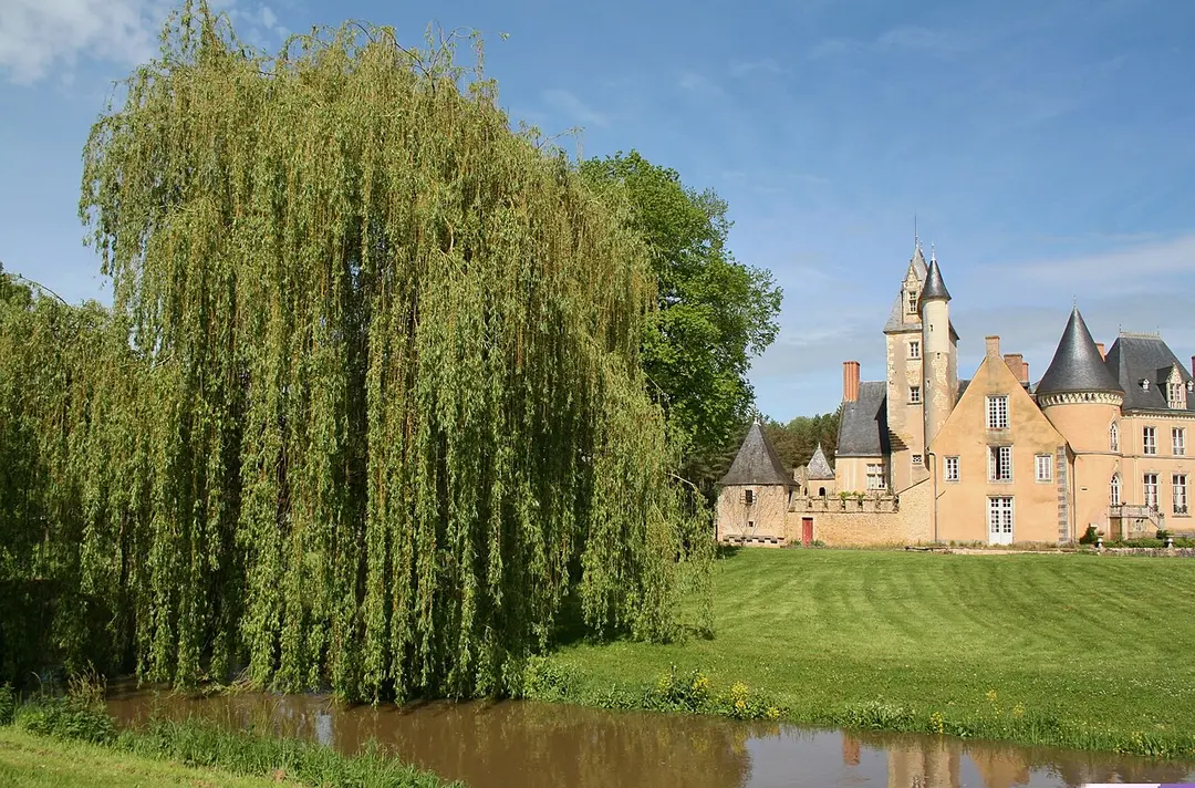 Château de Vaulogé