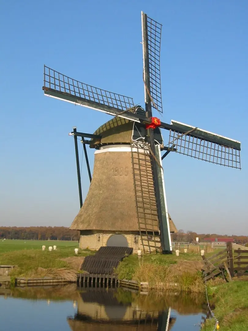 Zwaantje