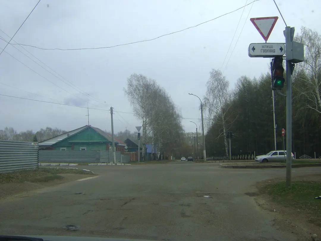 Gubkina Street