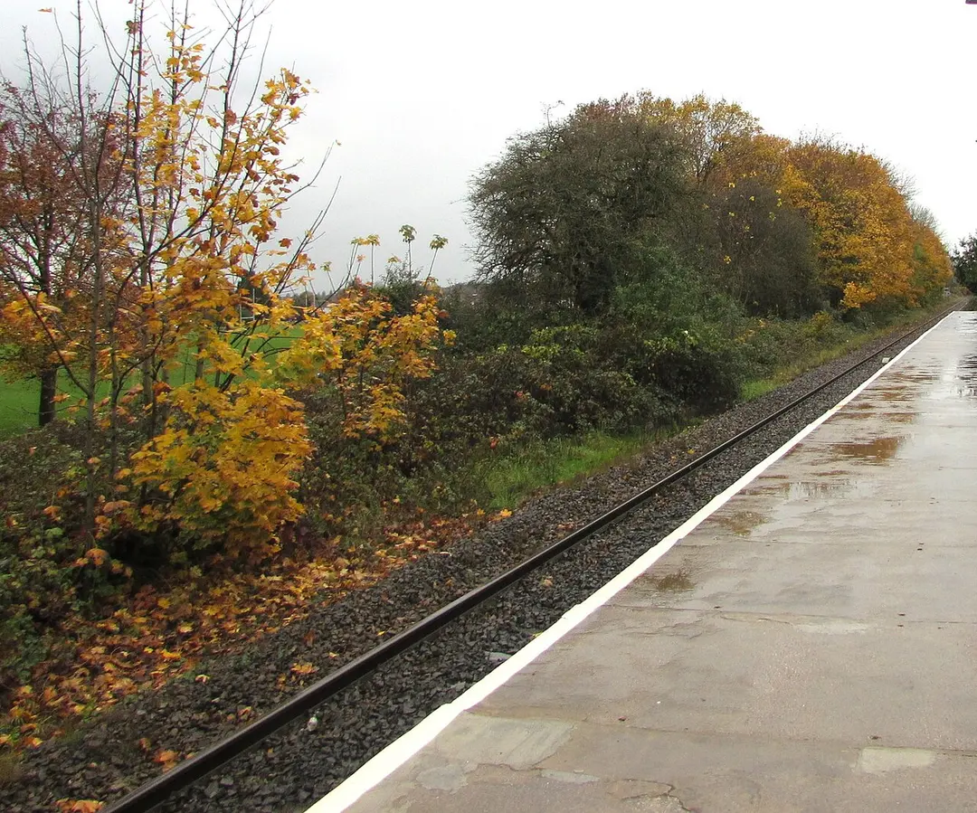 Rhiwbina