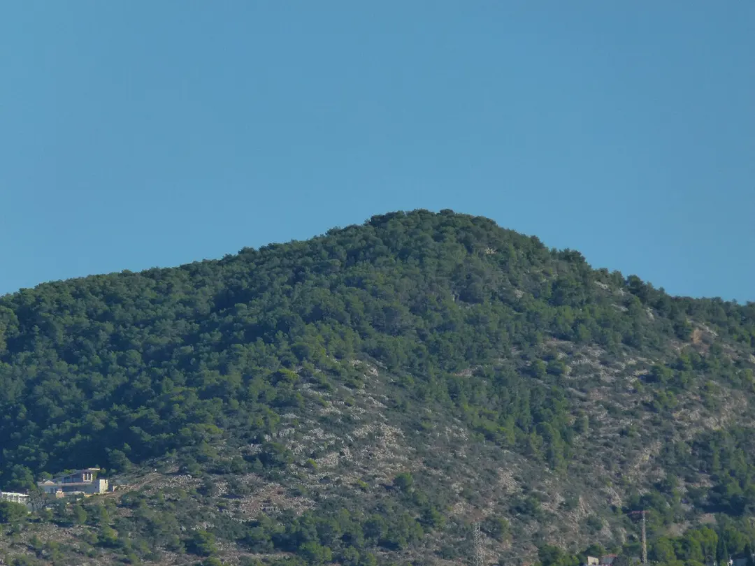 Puig d'en Boronet
