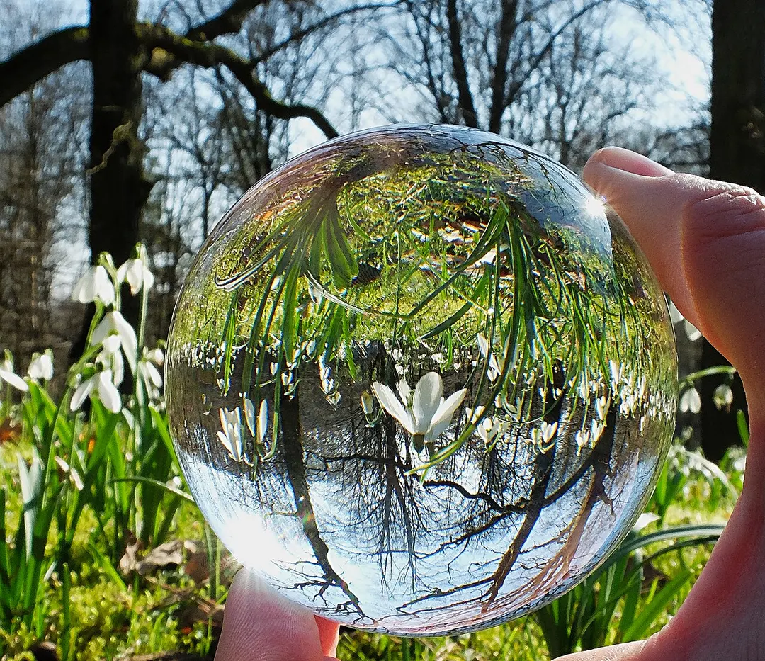 Botanical Garden