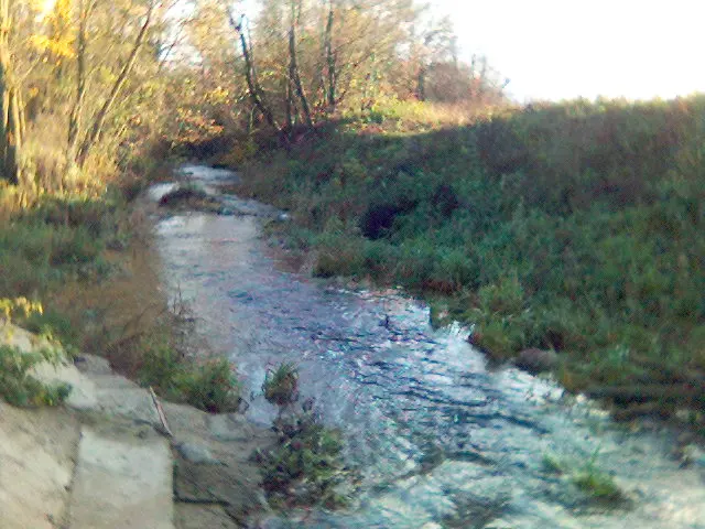 Gynėvė