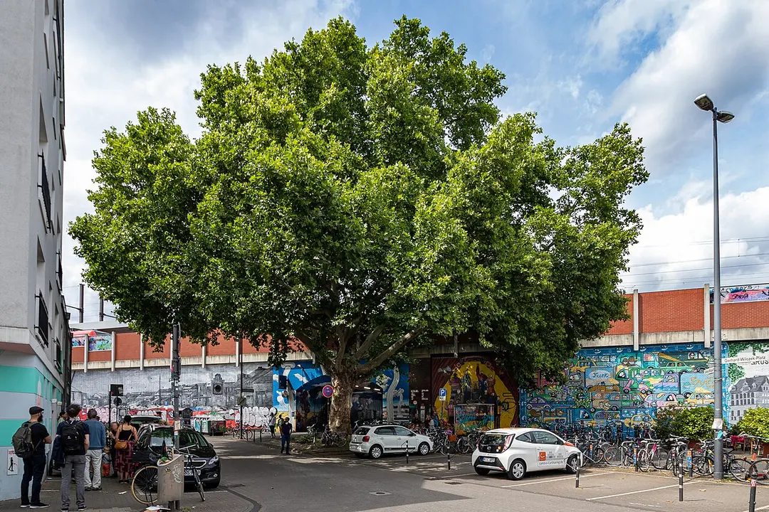 Gerhard-Wilczek-Platz