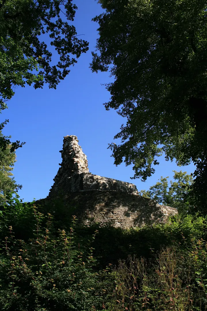 Ruine Tegerfelden